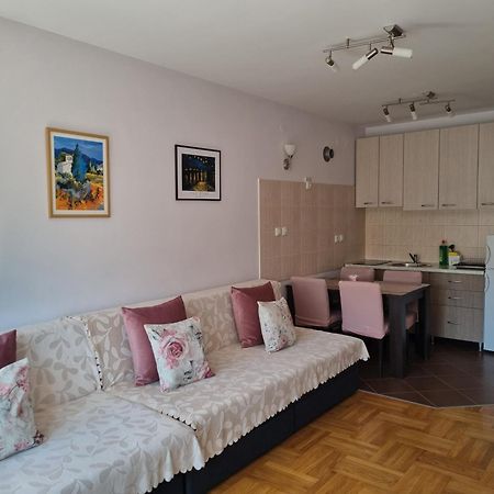 Studio Apartman Zvezdana Noc Vrnjačka Banja Buitenkant foto