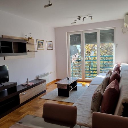 Studio Apartman Zvezdana Noc Vrnjačka Banja Buitenkant foto