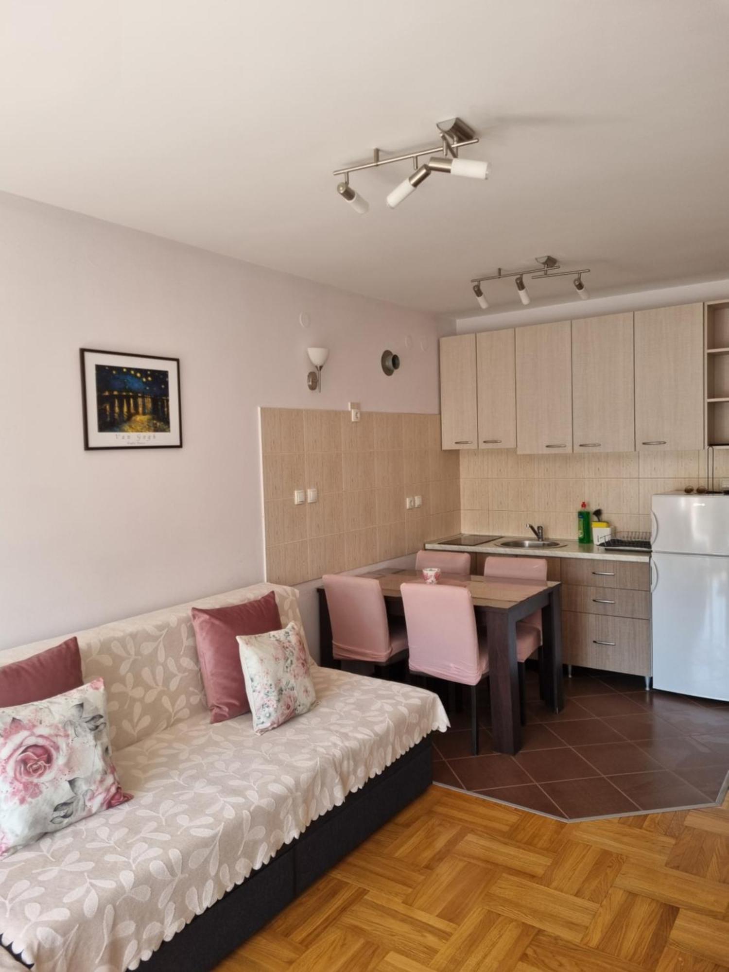 Studio Apartman Zvezdana Noc Vrnjačka Banja Buitenkant foto